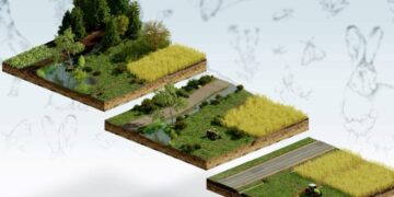 Unveiling the agricultural landscape of the Comoros – Food and Agriculture Organization