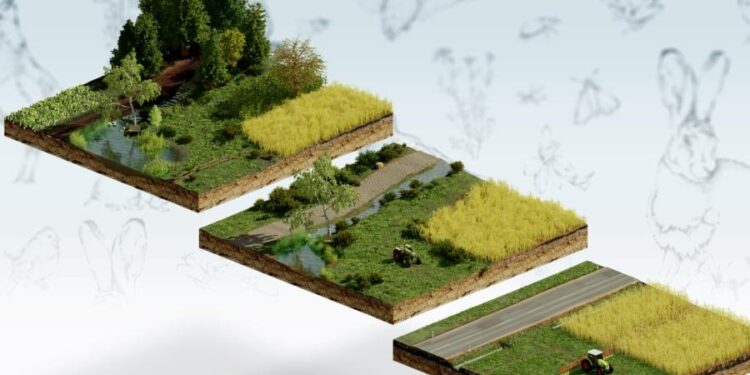 Unveiling the agricultural landscape of the Comoros – Food and Agriculture Organization