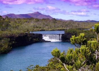 A surprising litmus test for New Caledonia’s independence parties – Lowy Institute