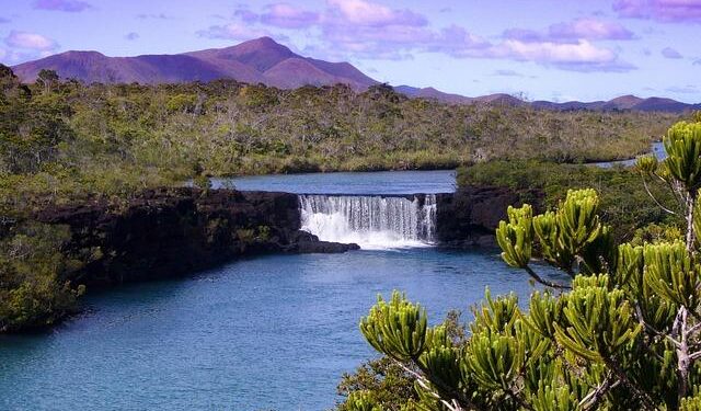 A surprising litmus test for New Caledonia’s independence parties – Lowy Institute