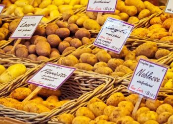 Sweden’s Gripen sale to Peru sparks new Latin American arms race – BulgarianMilitary.com