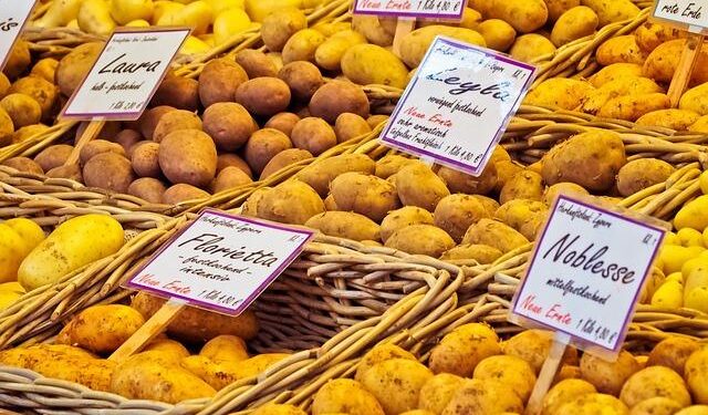 Sweden’s Gripen sale to Peru sparks new Latin American arms race – BulgarianMilitary.com