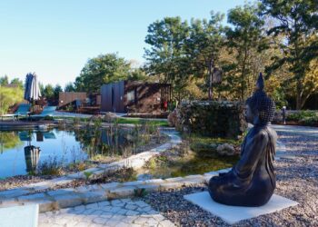 Refúgio da Quinta Nere Maitia: A microcosm of Portugal in the countryside – The Portugal News