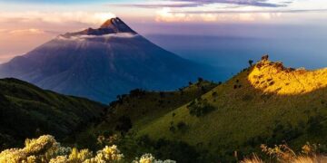 Indonesia should not allow its citizens to study in Israel – Middle East Monitor