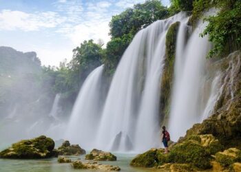 BAN vs ZIM 1st Test Live Streaming Details – OneCricket