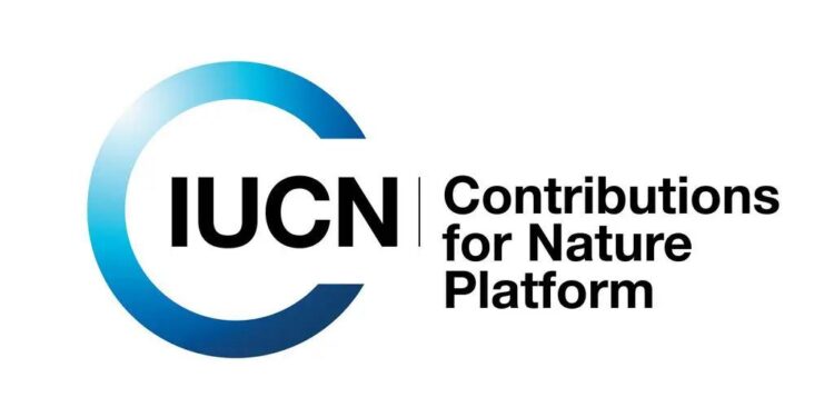 IUCN Oceania highlights success and collaboration in the Kiwa Initiative – IUCN