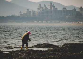 Understanding America’s Labor Shortage: The Most Impacted Industries – U.S. Chamber of Commerce