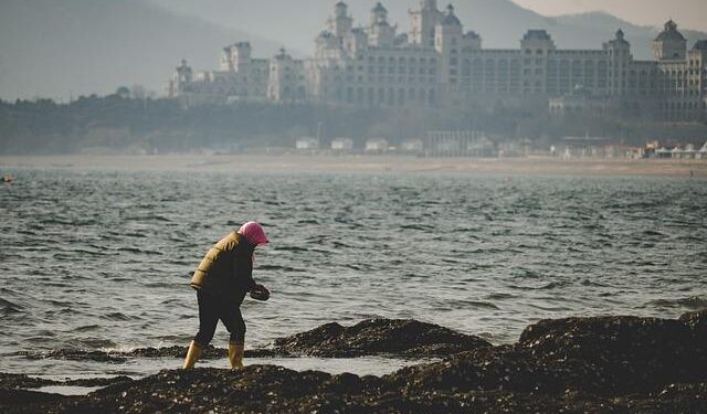 Understanding America’s Labor Shortage: The Most Impacted Industries – U.S. Chamber of Commerce