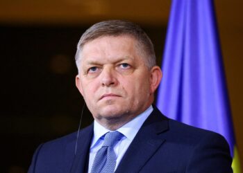 Slovak leader Fico congratulates Musk for gutting US aid agency – Reuters