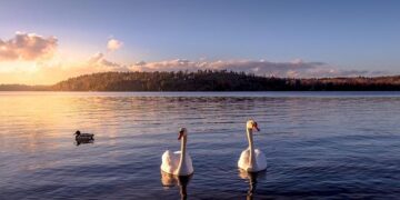 Sweden Sends Troops to Latvia in First Deployment After Joining NATO – The Defense Post