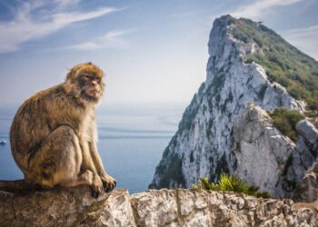 Will the UK ‘give up’ Gibraltar next? In Spain, we’re more worried about Brexit’s absurdities | María Ramírez – The Guardian