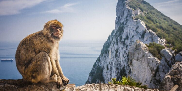 Will the UK ‘give up’ Gibraltar next? In Spain, we’re more worried about Brexit’s absurdities | María Ramírez – The Guardian