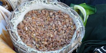 Ritterfest 2025 Brings a Taste of Medieval Germany to Knoxville – Inside of Knoxville