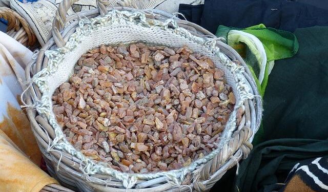 Ritterfest 2025 Brings a Taste of Medieval Germany to Knoxville – Inside of Knoxville