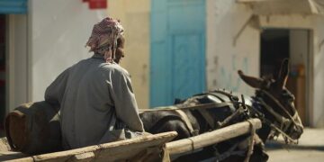 Politicians lawyers, and businessmen in Tunisia get as high as 66 years in prison – MSN