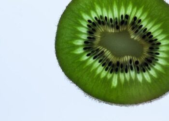 A Kiwi Shearing Gun Bids For World Record In South Africa – Scoop – New Zealand News