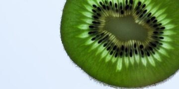 A Kiwi Shearing Gun Bids For World Record In South Africa – Scoop – New Zealand News