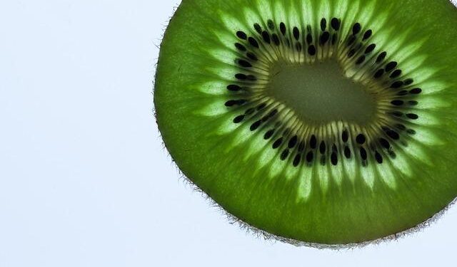 A Kiwi Shearing Gun Bids For World Record In South Africa – Scoop – New Zealand News