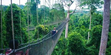 Ghana Senegal battle at U-20 AFCON: Why Desmond Ofei is not fazed by the champions – GhanaSoccernet