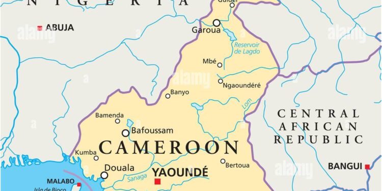 Cameroon’s Big Catch-up is a mountain to climb – Gavi, the Vaccine Alliance