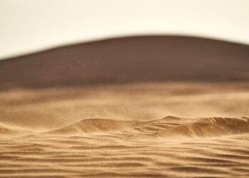 The High Stakes of Western Sahara | GJIA – Georgetown Journal of International Affairs