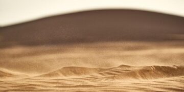 The High Stakes of Western Sahara | GJIA – Georgetown Journal of International Affairs