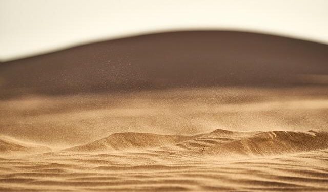 The High Stakes of Western Sahara | GJIA – Georgetown Journal of International Affairs