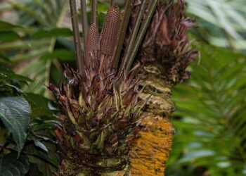 Former Croatia midfielder Nikola Pokrivač dies in car accident at age 39 – The Derrick