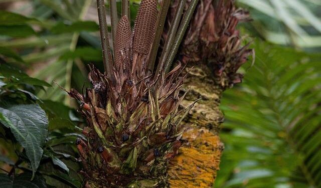 Former Croatia midfielder Nikola Pokrivač dies in car accident at age 39 – The Derrick