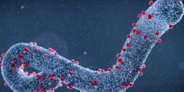 100% Marburg Case Fatality Rate in Tanzania – Vax-Before-Travel