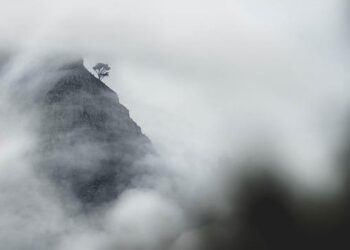 Focus – In South Africa, some White farmers seek Trump’s support over expropriation law – France 24