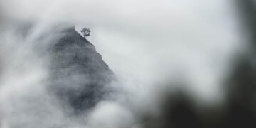 Focus – In South Africa, some White farmers seek Trump’s support over expropriation law – France 24