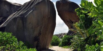 Appointment of the Chief Executive Officer of the Seychelles Communications Regulatory Authority – State House Seychelles