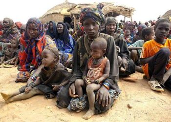 Resilience in exile: Stories of refugee women in Senegal and the Gambia – UNHCR – The UN Refugee Agency