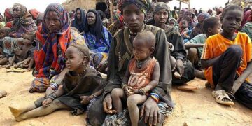 Resilience in exile: Stories of refugee women in Senegal and the Gambia – UNHCR – The UN Refugee Agency