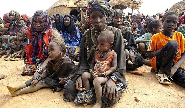 Resilience in exile: Stories of refugee women in Senegal and the Gambia – UNHCR – The UN Refugee Agency