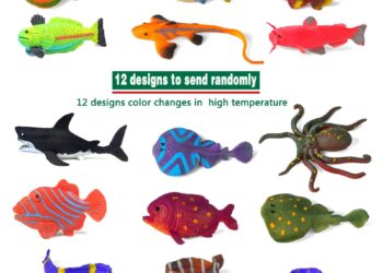 ‘Large’ color-changing creature found in hotel garden. It’s a new species – Miami Herald