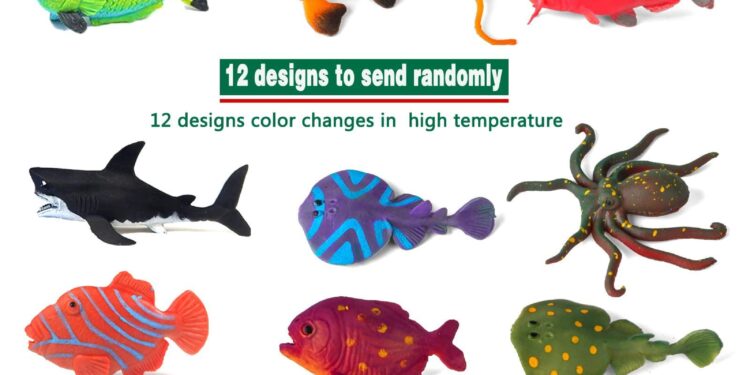 ‘Large’ color-changing creature found in hotel garden. It’s a new species – Miami Herald