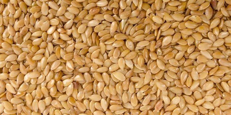 Seeds of Ethiopia, Pakistan fraternity planted under green legacy – The News International