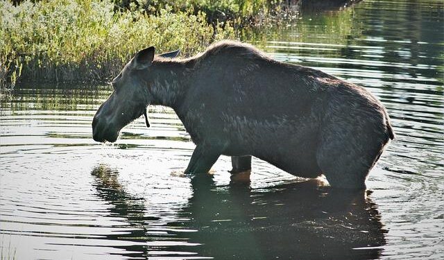 “Life is dangerous for women in this camp”: In the Central African Republic, survivors of sexual violence lose critical support as funding is slashed – unfpa.org