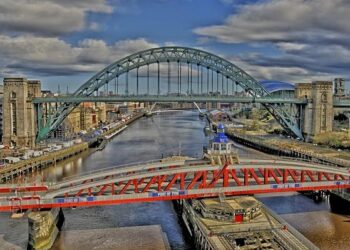 Newcastle disease confirmed in Burkina Faso – WATTPoultry.com