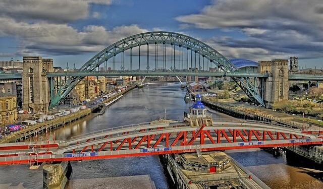 Newcastle disease confirmed in Burkina Faso – WATTPoultry.com