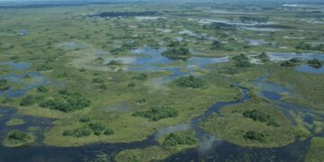Saving the Okavango – The Nature Conservancy