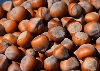 Top-seeded Sabalenka beats Paolini to set up Porsche Grand Prix final against unseeded Ostapenko – Alton Telegraph