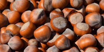 Top-seeded Sabalenka beats Paolini to set up Porsche Grand Prix final against unseeded Ostapenko – Alton Telegraph