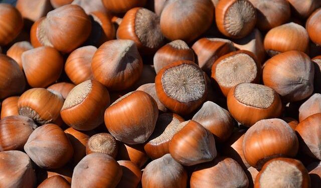 Top-seeded Sabalenka beats Paolini to set up Porsche Grand Prix final against unseeded Ostapenko – Alton Telegraph