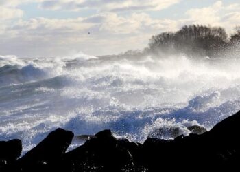 Germany: Police chief warns of ‘cocaine surge’ – DW