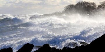 Germany: Police chief warns of ‘cocaine surge’ – DW