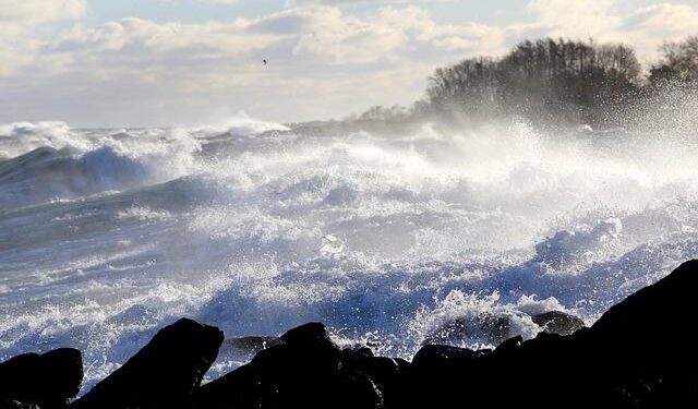 Germany: Police chief warns of ‘cocaine surge’ – DW
