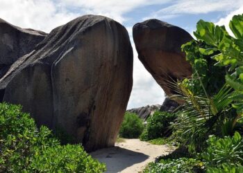 Seychelles Strengthens Climate Reporting through Training on New Transparency Platform – United Nations Development Programme